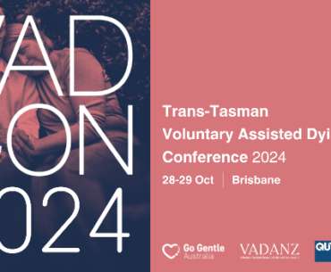 VAD Conference 2024 promo artwork